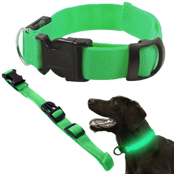 Collier LED qui brille dans le noir pour chiens et