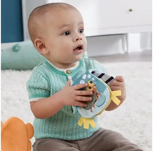 194735229666 – Fisher-Price 2 en 1 Rockin' Tummy Time Peluche Loutre 24,5 x 26 cm – Colis de 2 pièces