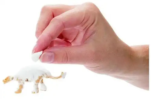 8714627005462 – Colis de 12 pcs Jurassic Revival Dinosaur Clay Set en pot 6x8 cm (DIY) – Vente en gros Jurassic Revival – Grossiste jeux créatifs et dinosaures à modeler