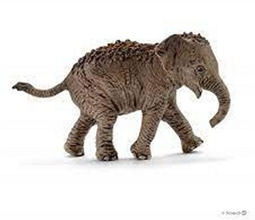 4005086147553 Schleich Wild Life Bébé éléphant d'Asie 7cm