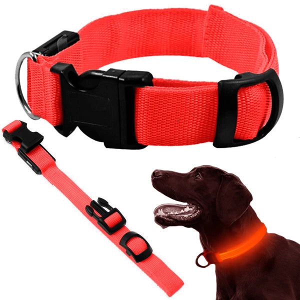 Collier LED phosphorescent pour chiens et chats