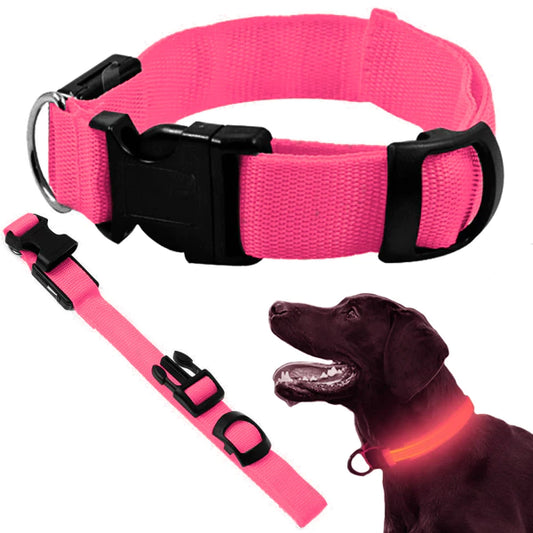 Collier LED phosphorescent pour chiens et chats