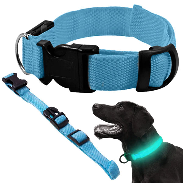 Collier LED phosphorescent pour chiens et chats
