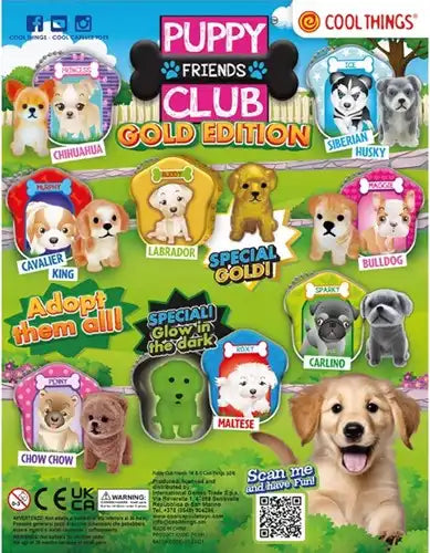 8053306202069 – Lot de 20 pcs Capsules Puppy Friends Club Gold Edition 50 mm – Grossiste jouets surprise