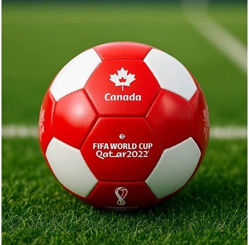 5292982029925 – Fifa World Cup Ballon Football Taille 2 (Canada)