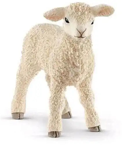 Colis de 5 pièces – 4059433498317 – Vente en gros Schleich Farm World Agneau