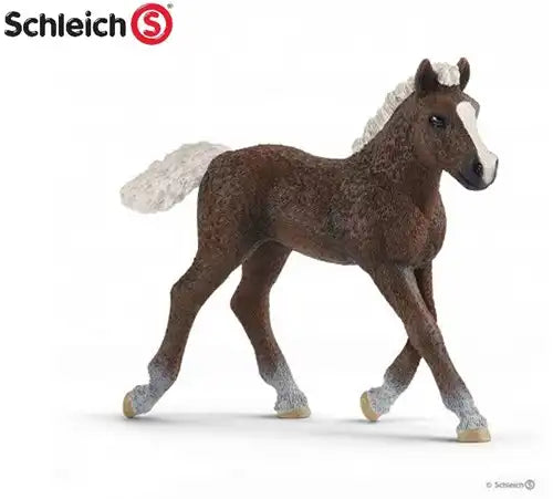 4059433349503 – Colis de 5 pcs : Schleich Farm World Poulain Forêt-Noire 8x9 cm – Grossiste figurines animaux