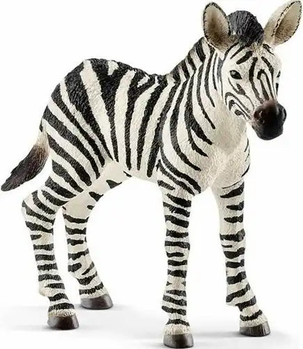 4055744020797 – Colis de 5 pcs : Schleich Wild Life Figurine Zèbre 8 cm – Grossiste figurines animales officielles