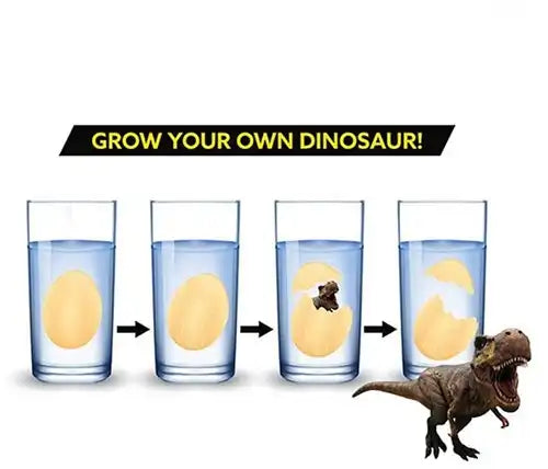 8714627351149 – WORLD OF DINOSAURS Œuf magique à faire éclore (colis de 12 pièces – 7,5 x 10,5 cm)