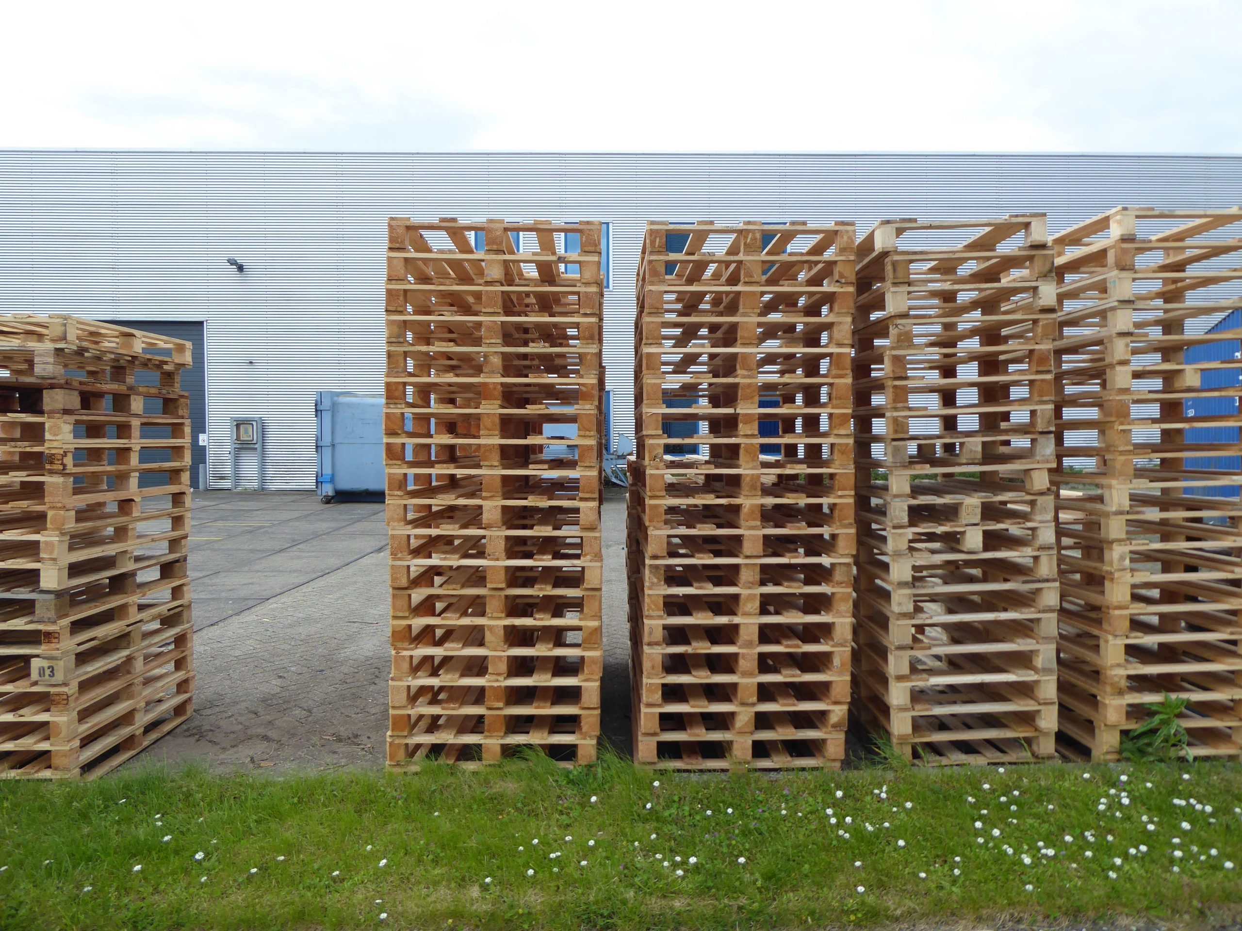 Palettes en bois empilées devant un entrepôt