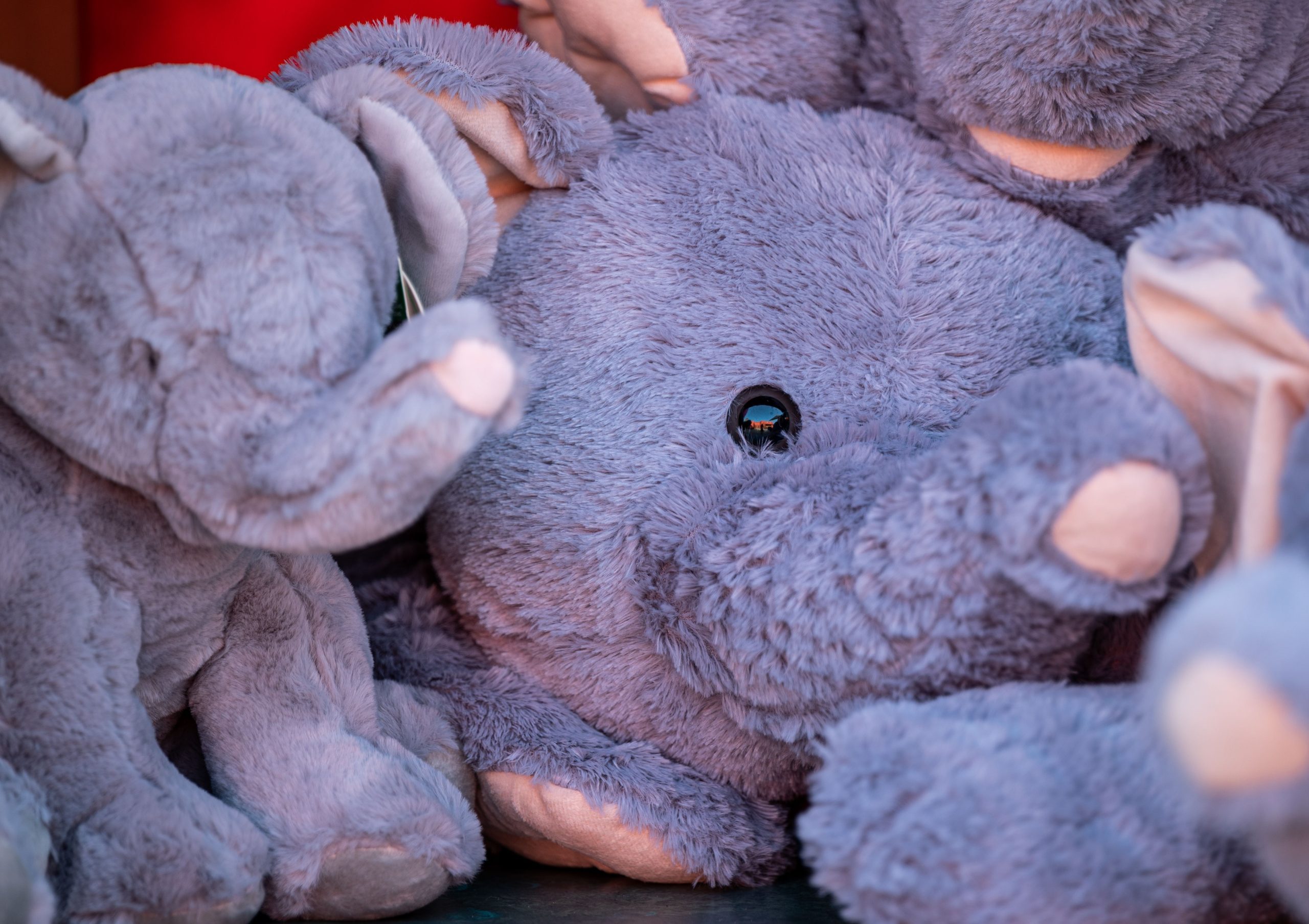 Gros plan peluches éléphant douces colorées