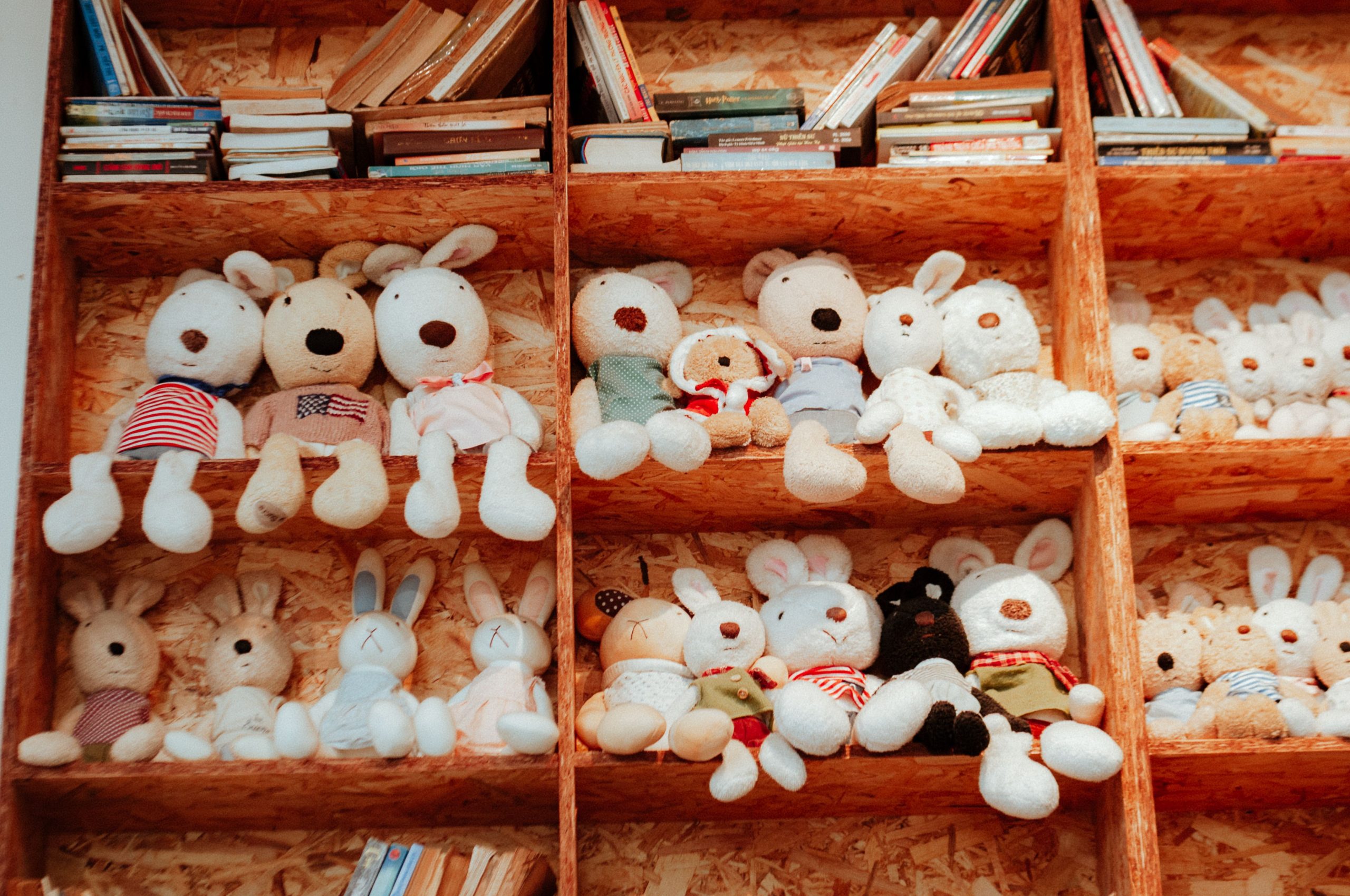 Étagères décorées peluches et livres enfants