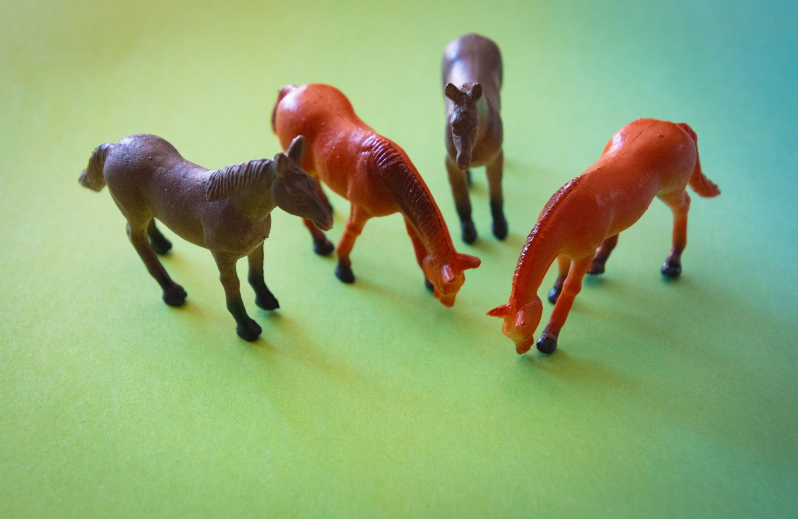 Chevaux miniatures colorés sur surface verte