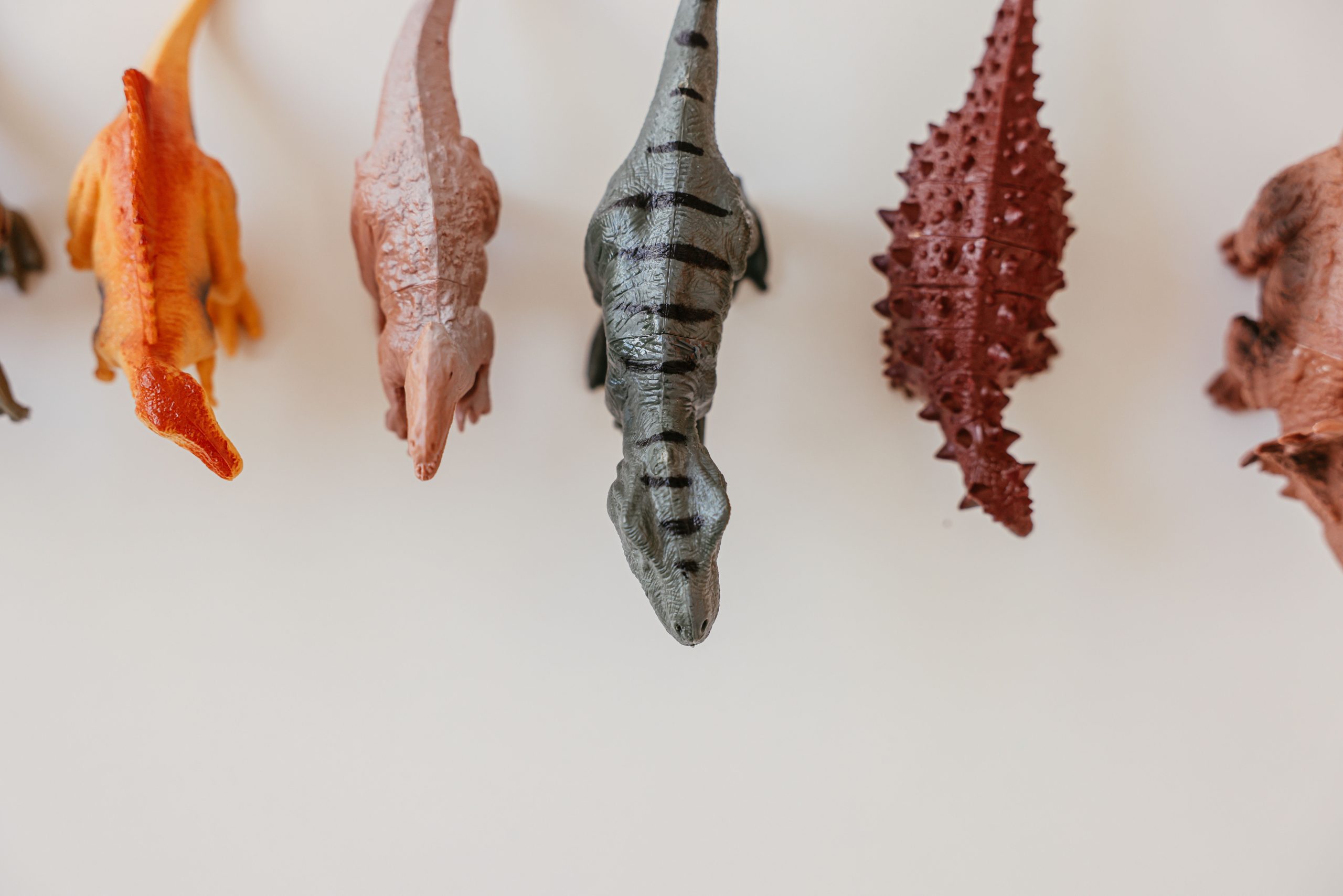 Collection dinosaures figurines fond blanc