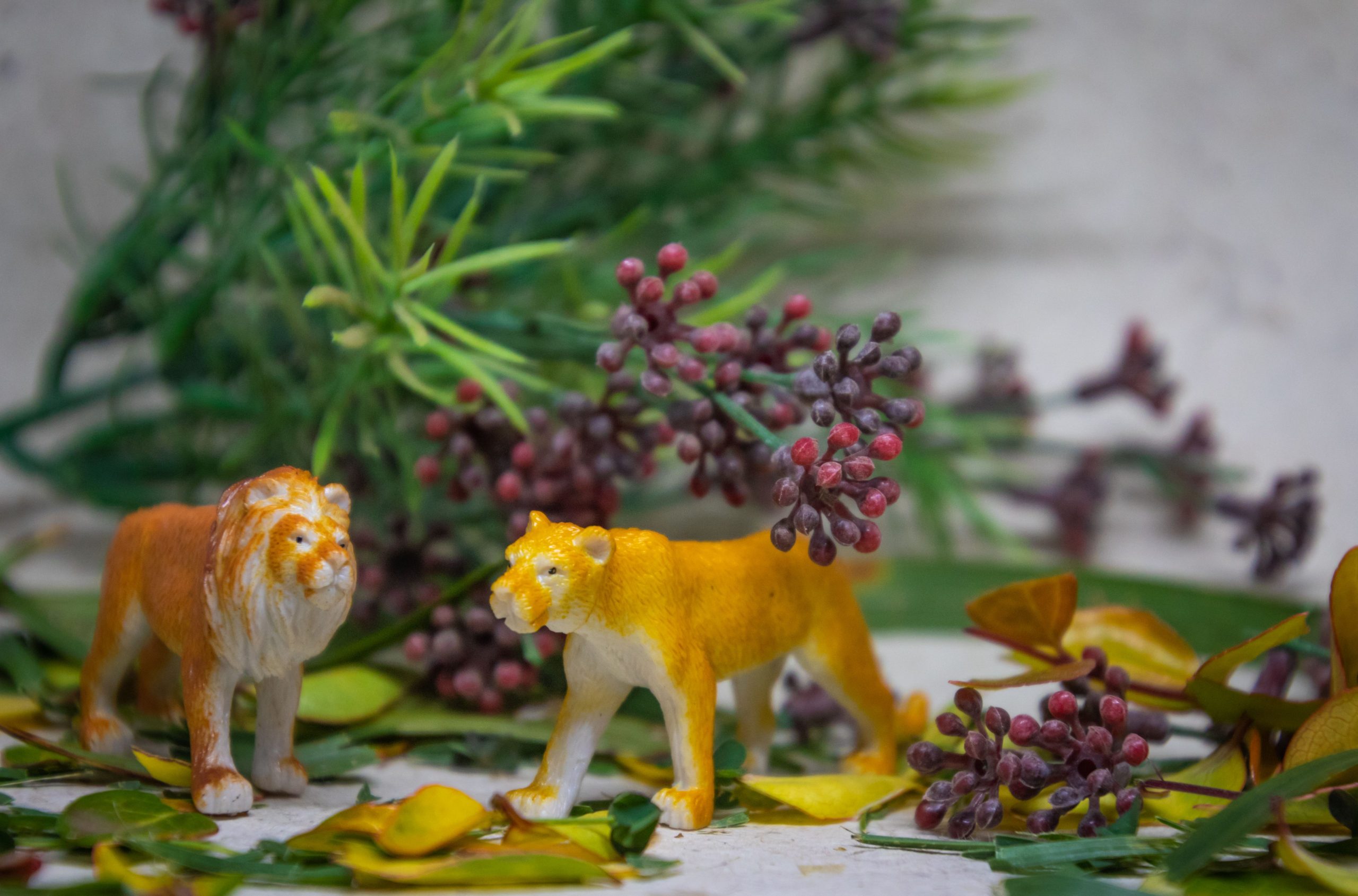 Figurines lion et lionne entourées fleurs